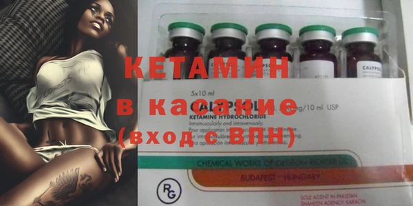 спиды Щигры