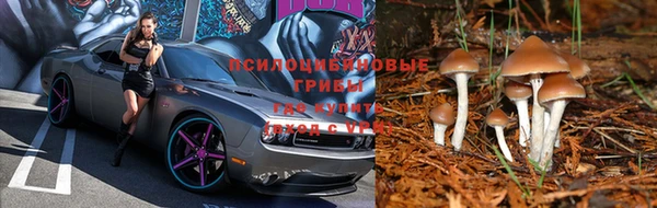 MESCALINE Чекалин