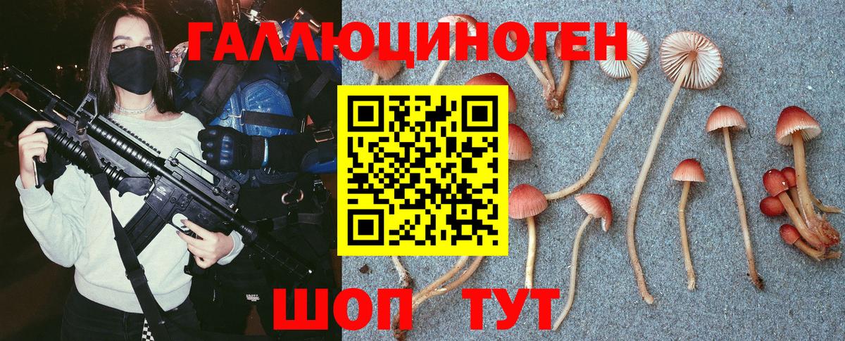 Галлюциногенные грибы GOLDEN TEACHER  Галлюциногенные грибы GOLDEN TEACHER  Вход с VPN  Тверь 