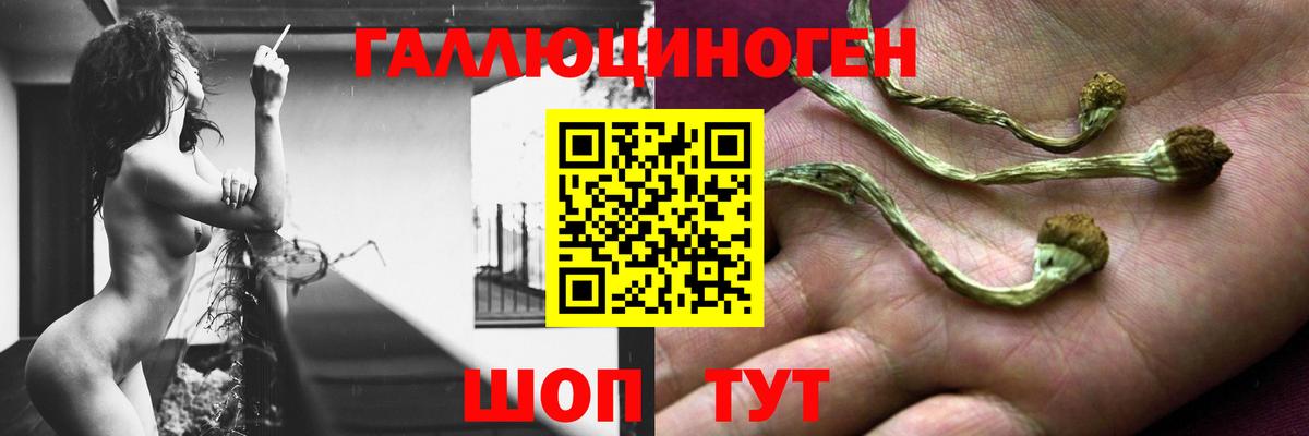 Псилоцибиновые грибы Magic Shrooms Тверь