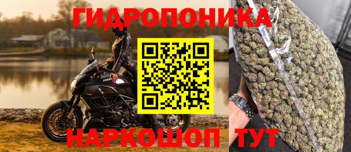 Шишки марихуана конопля Тверь